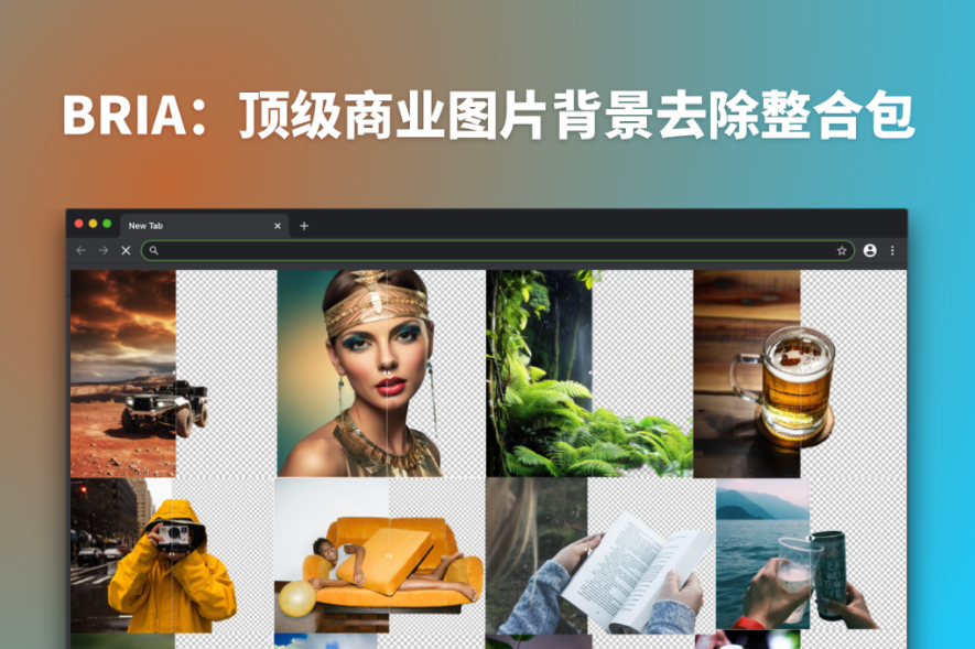 BRIA-RMBG：开源领域的一键抠图神器,一键启动